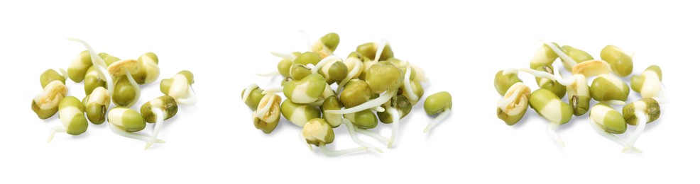 Image of Many mung bean sprouts on white background