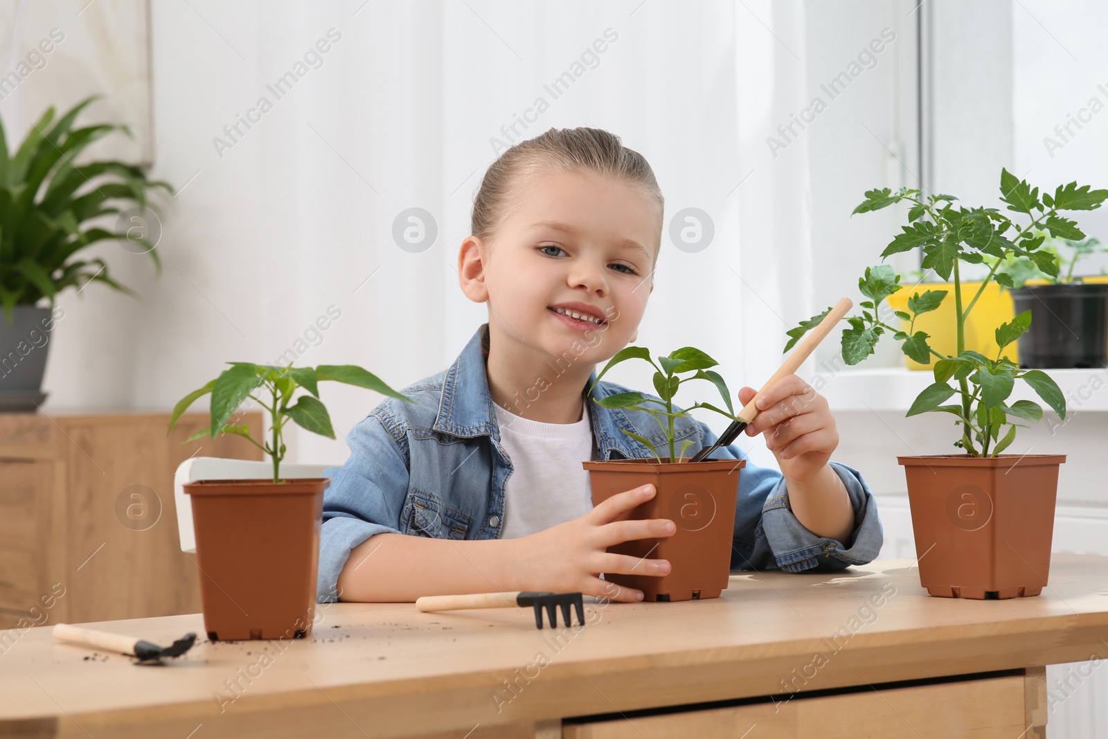 Photo of Cute little girl planting seedling into pot at wooden table in room