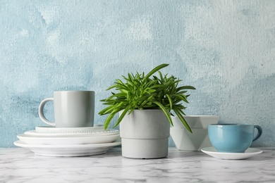 Photo of Green plant and different kitchenware on table near color wall. Modern interior design