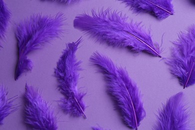 Photo of Bright beautiful feathers on violet background, flat lay