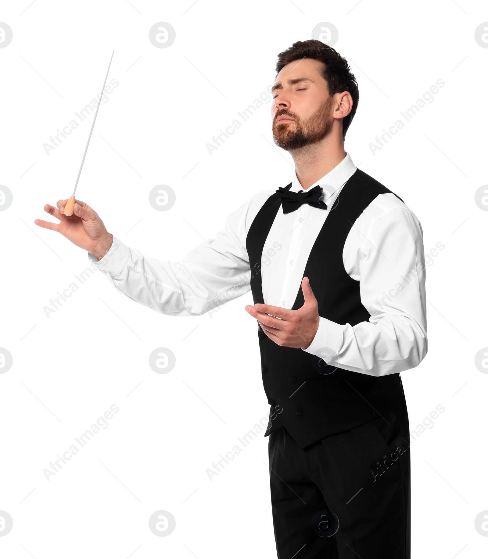 Photo of Professional conductor with baton on white background