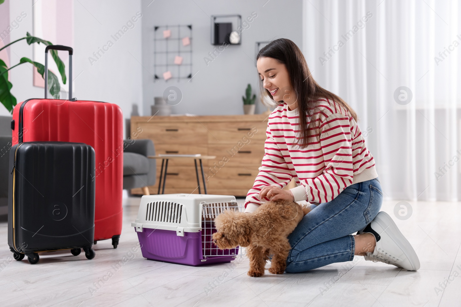 Photo of Smiling woman preparing to travel with her dog at home