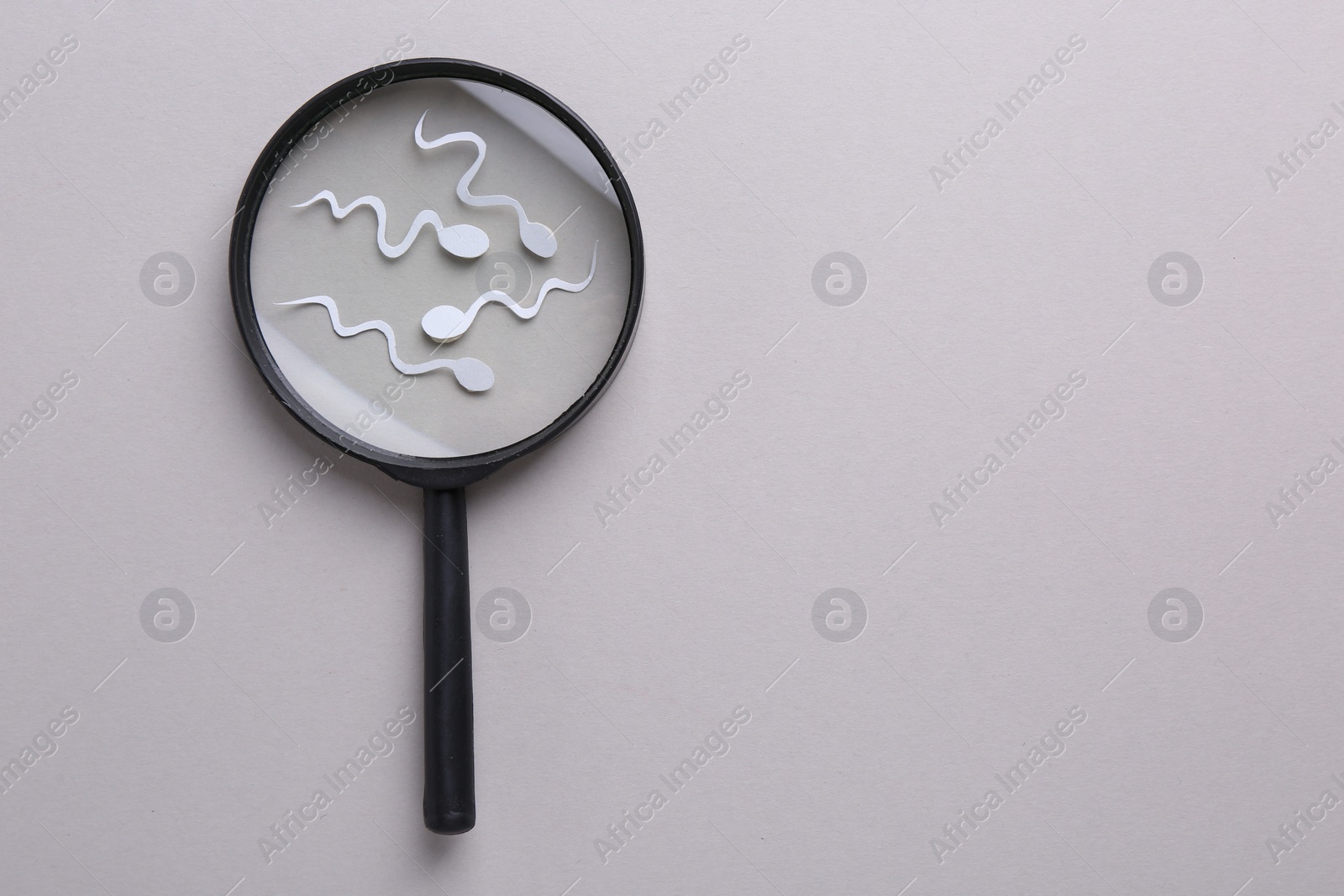 Photo of Reproductive medicine. Magnifier and sperm cells on gray background, top view with space for text