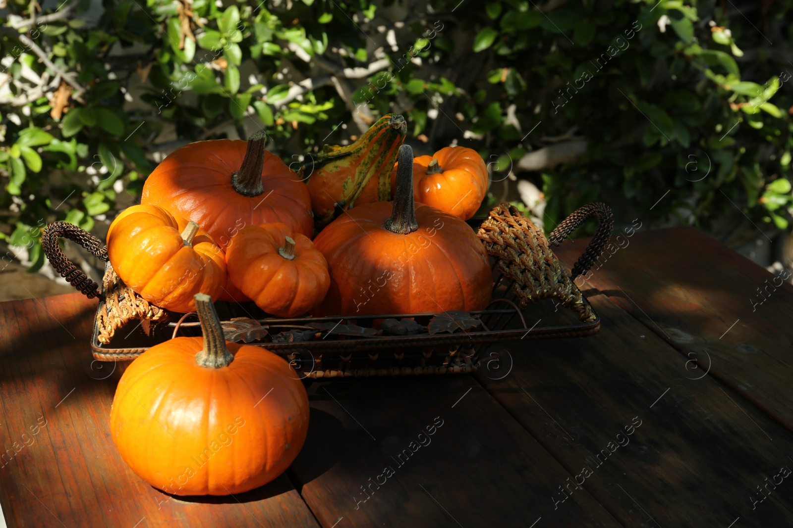 Photo of Many ripe orange pumpkins on wooden table outdoors