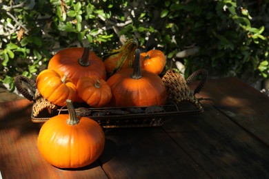 Photo of Many ripe orange pumpkins on wooden table outdoors