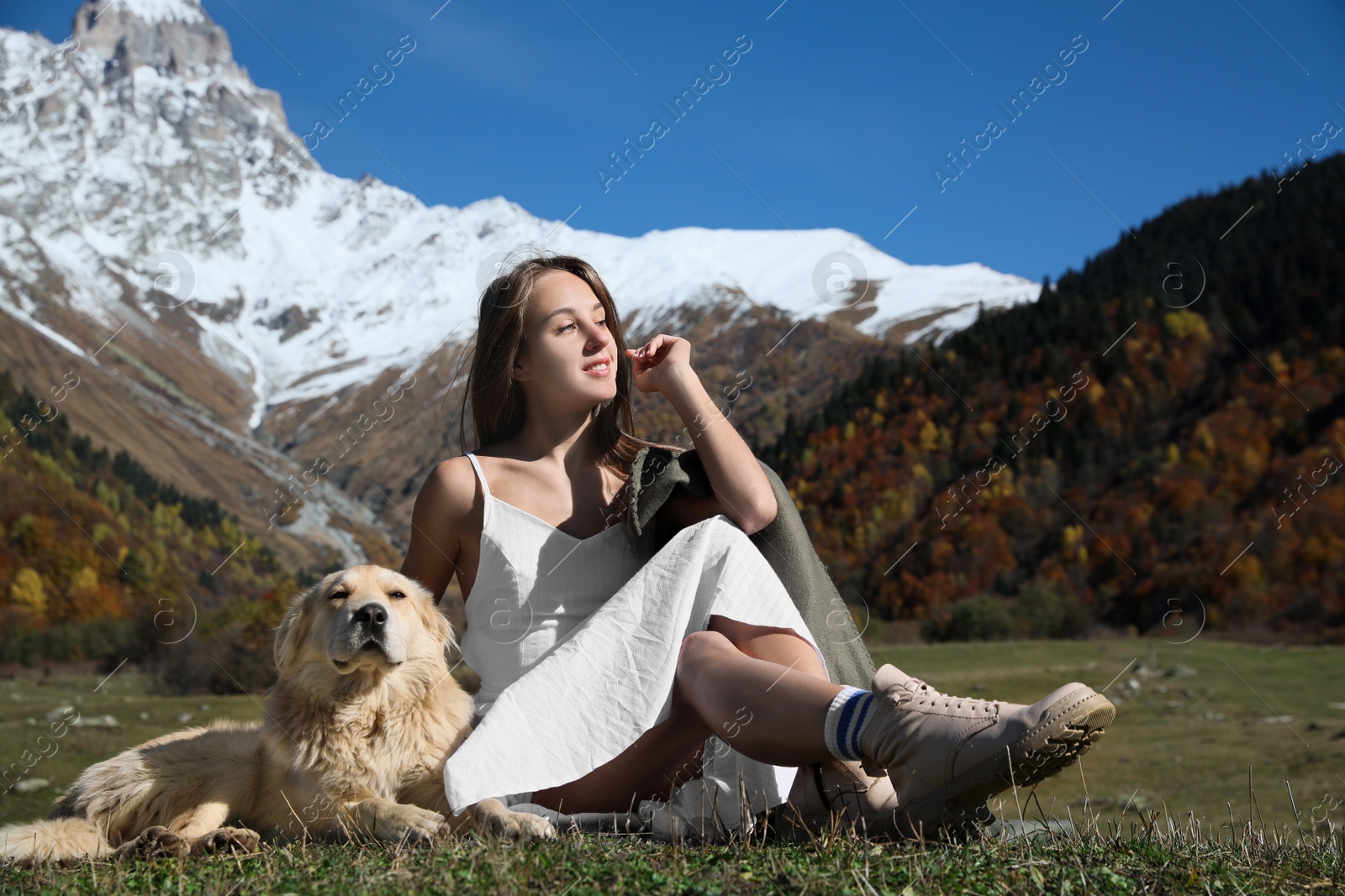 Photo of Beautiful young woman with adorable dog in mountains on sunny day