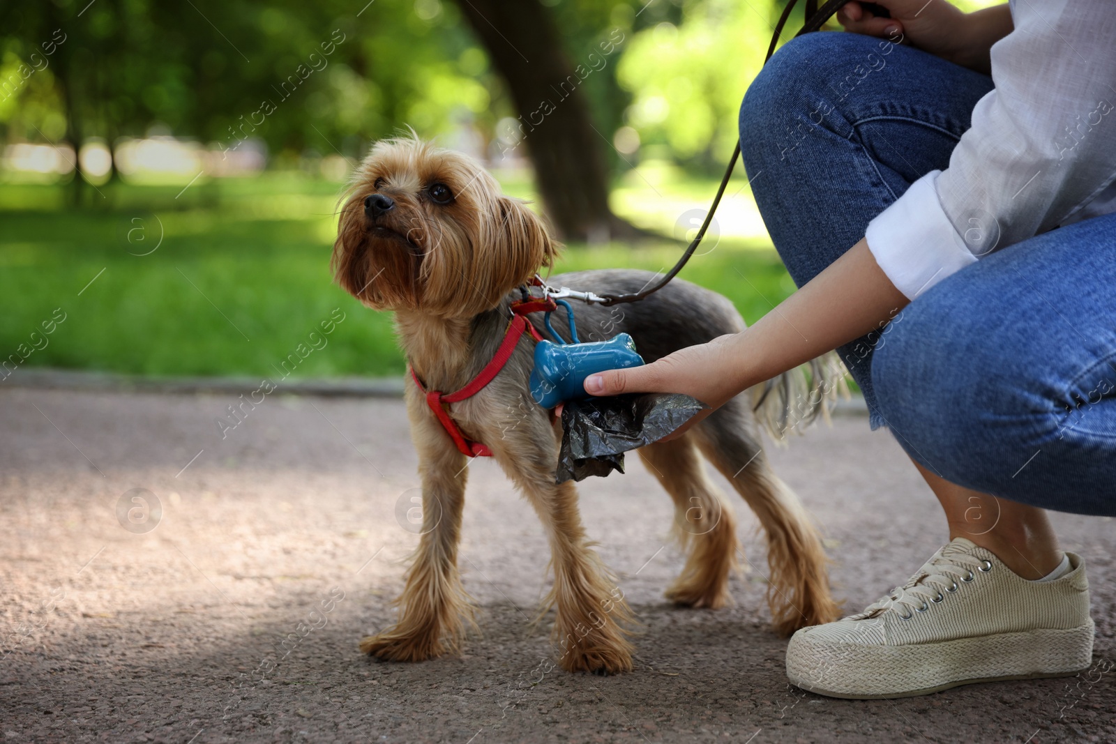 Photo of Woman with cute dog taking waste bag from holder in park, closeup