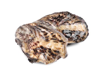 Photo of Fresh raw closed oysters on white background