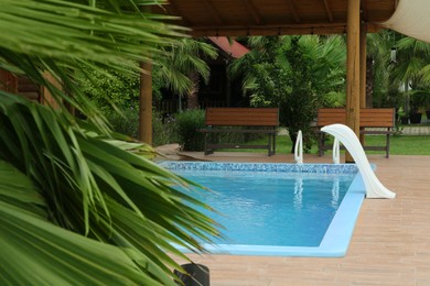 Green palm near outdoor swimming pool with grab rails