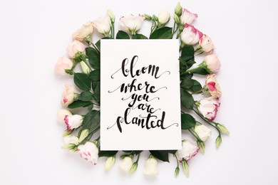 Frame of beautiful flowers and paper card with handwritten text Bloom where you are planted on white background, flat lay
