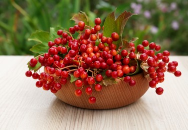 Bowl with ripe viburnum berries on white wooden table outdoors
