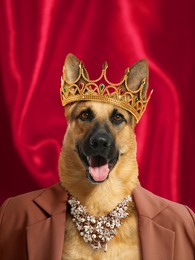 Image of German shepherd dog dressed like royal person against red background