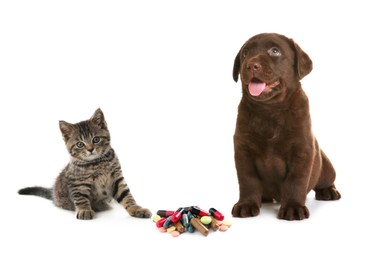 Image of Vitamins for pets. Cute dog with cat and different pills on white background