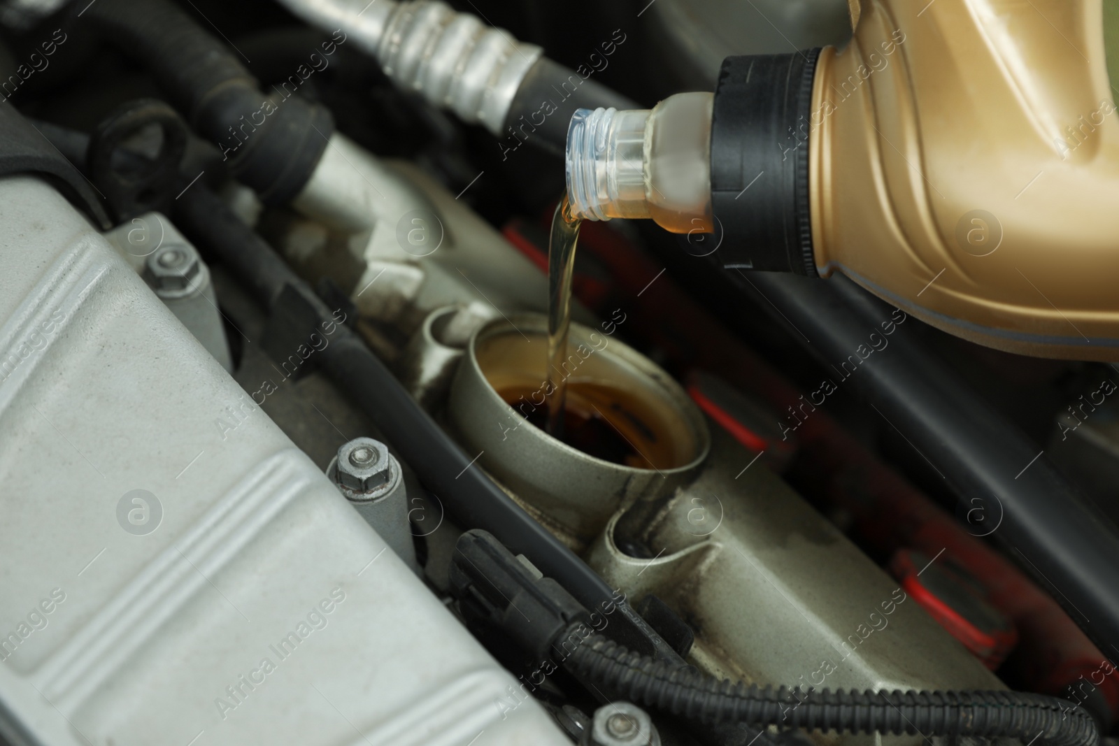 Photo of Pouring motor oil into car engine at automobile repair shop, closeup
