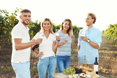 Friends holding glasses of wine and having fun on vineyard picnic