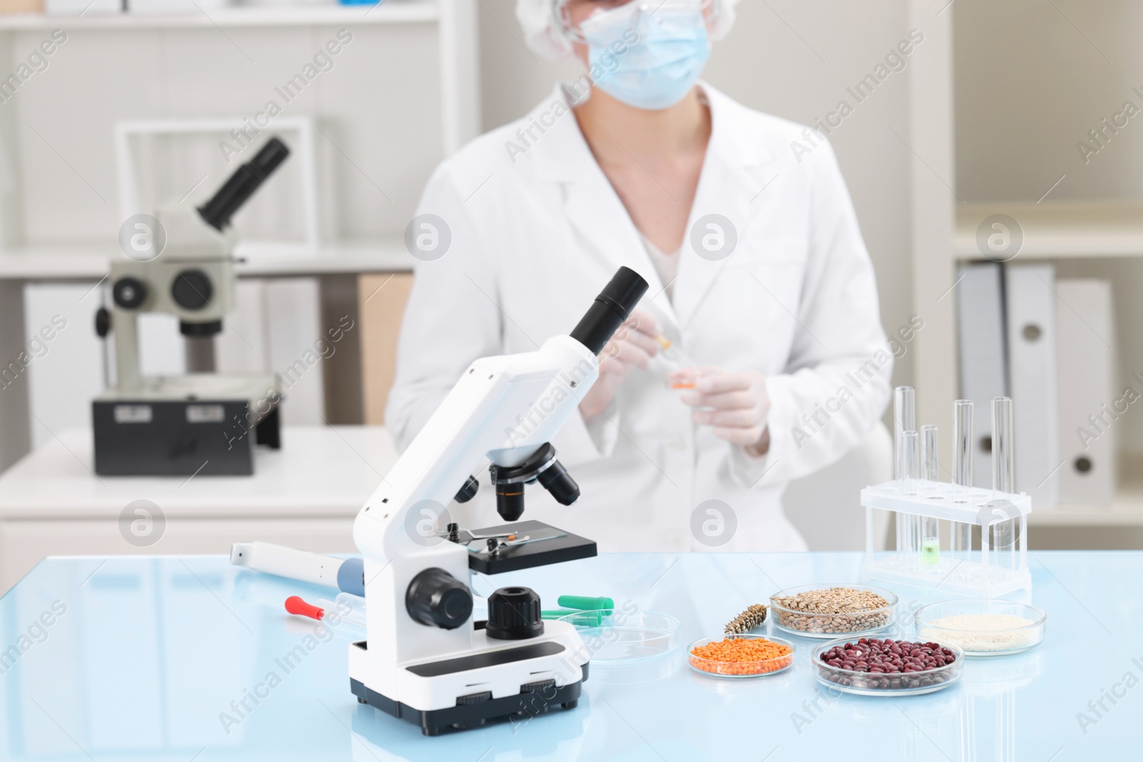 Photo of Quality control. Food inspector working in laboratory, focus on microscope and petri dishes with different products