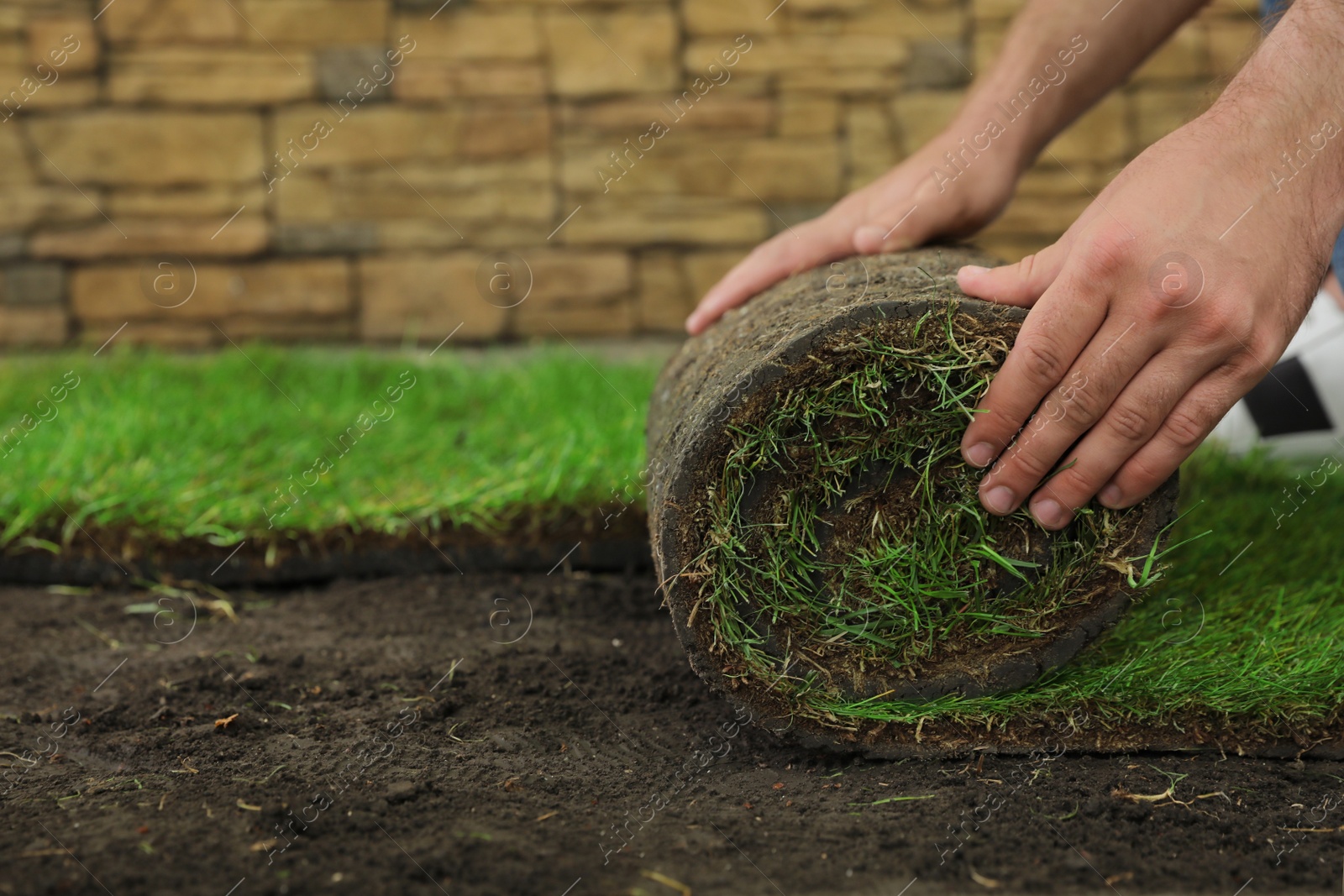 Photo of Young man laying grass sod on ground at backyard, closeup. Space for text