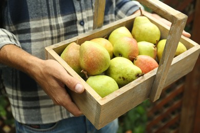 Photo of Woman holding wooden crate of fresh ripe pears outdoors, closeup