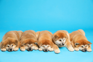 Photo of Cute Akita Inu puppies on light blue background., space for text Baby animals