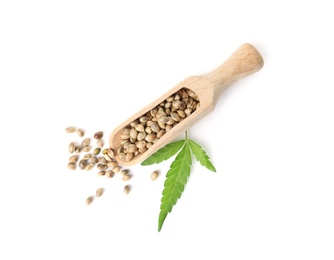 Photo of Scoop with hemp seeds and green leaf on white background, top view
