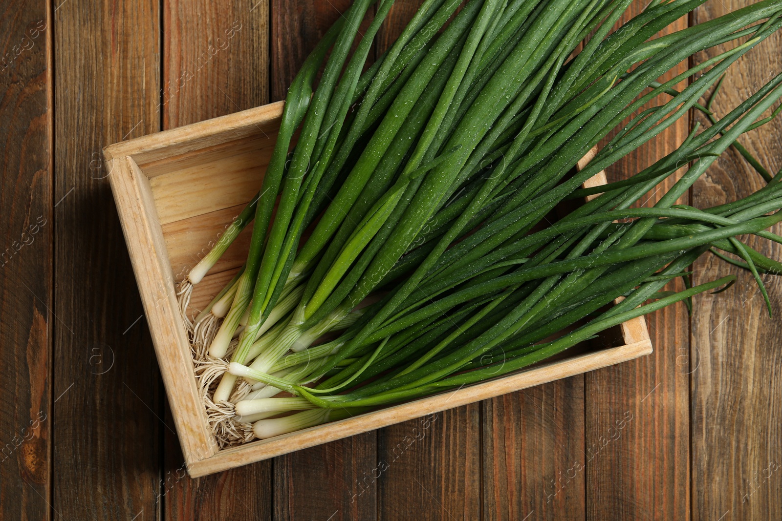 Photo of Fresh green spring onions in crate on wooden table, top view