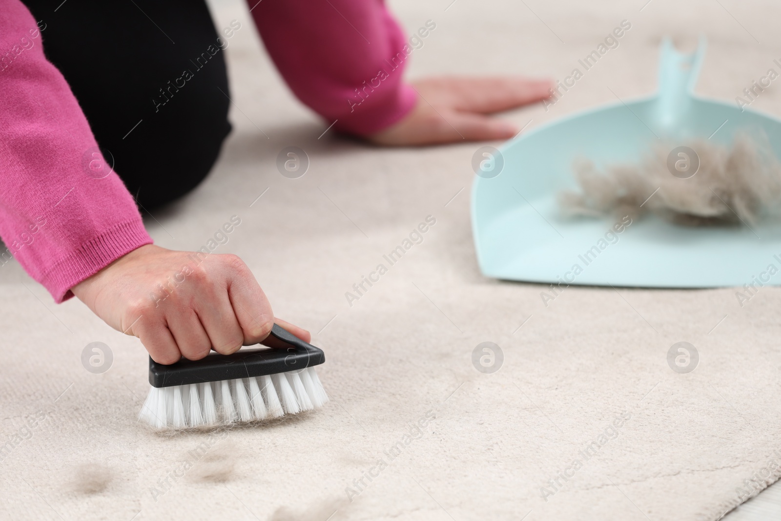 Photo of Woman with brush removing pet hair from carpet at home, closeup