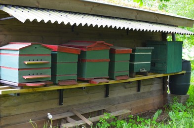 Photo of Group of different wooden beehives at outdoor apiary