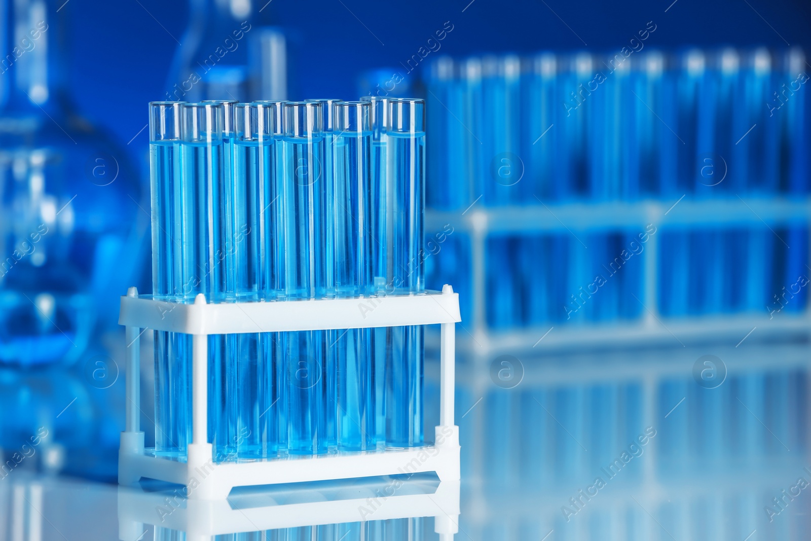 Photo of Holder with test tubes for analysis on table in laboratory. Space for text