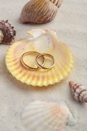 Honeymoon concept. Two golden rings with seashells on sand