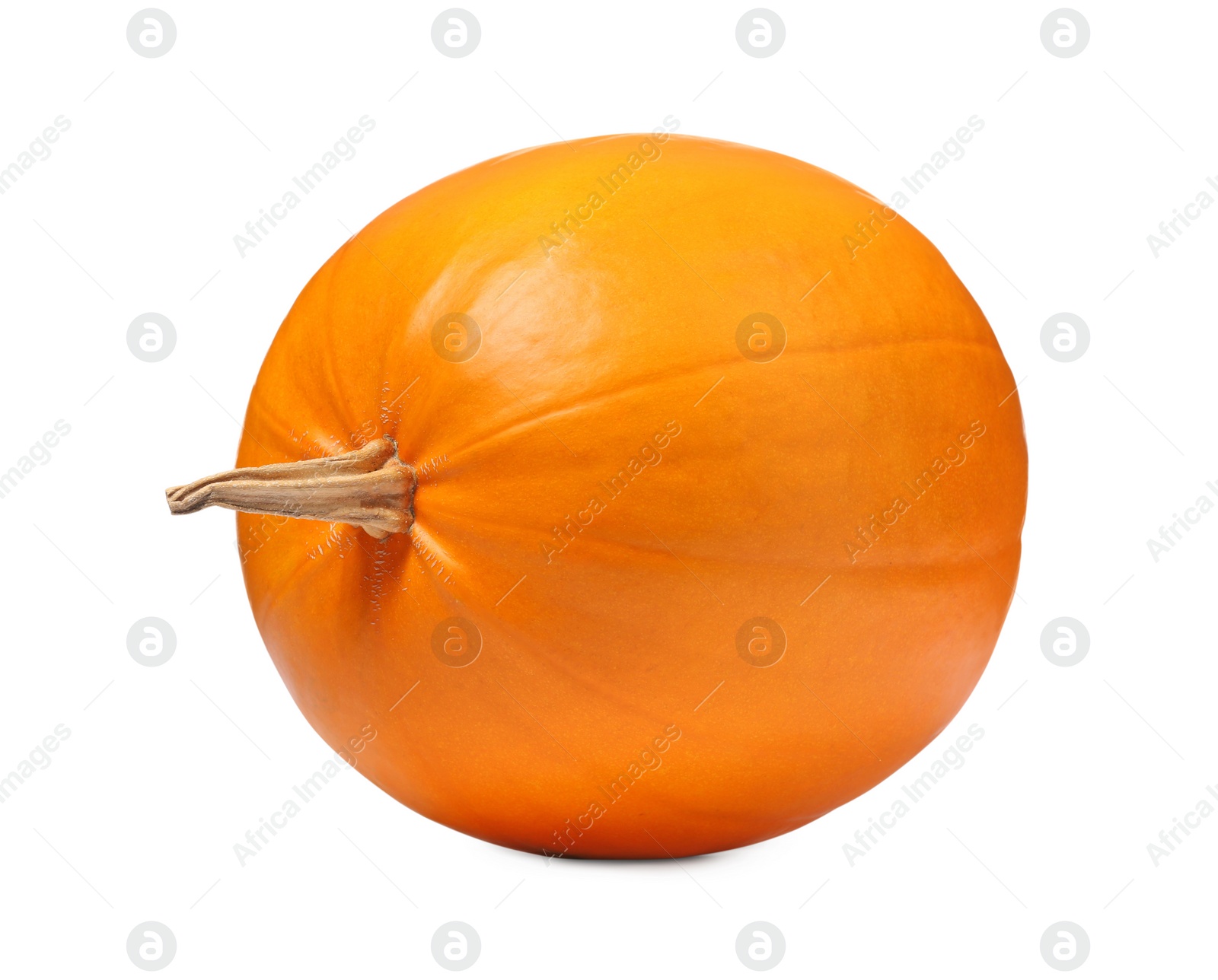 Photo of One fresh orange pumpkin isolated on white