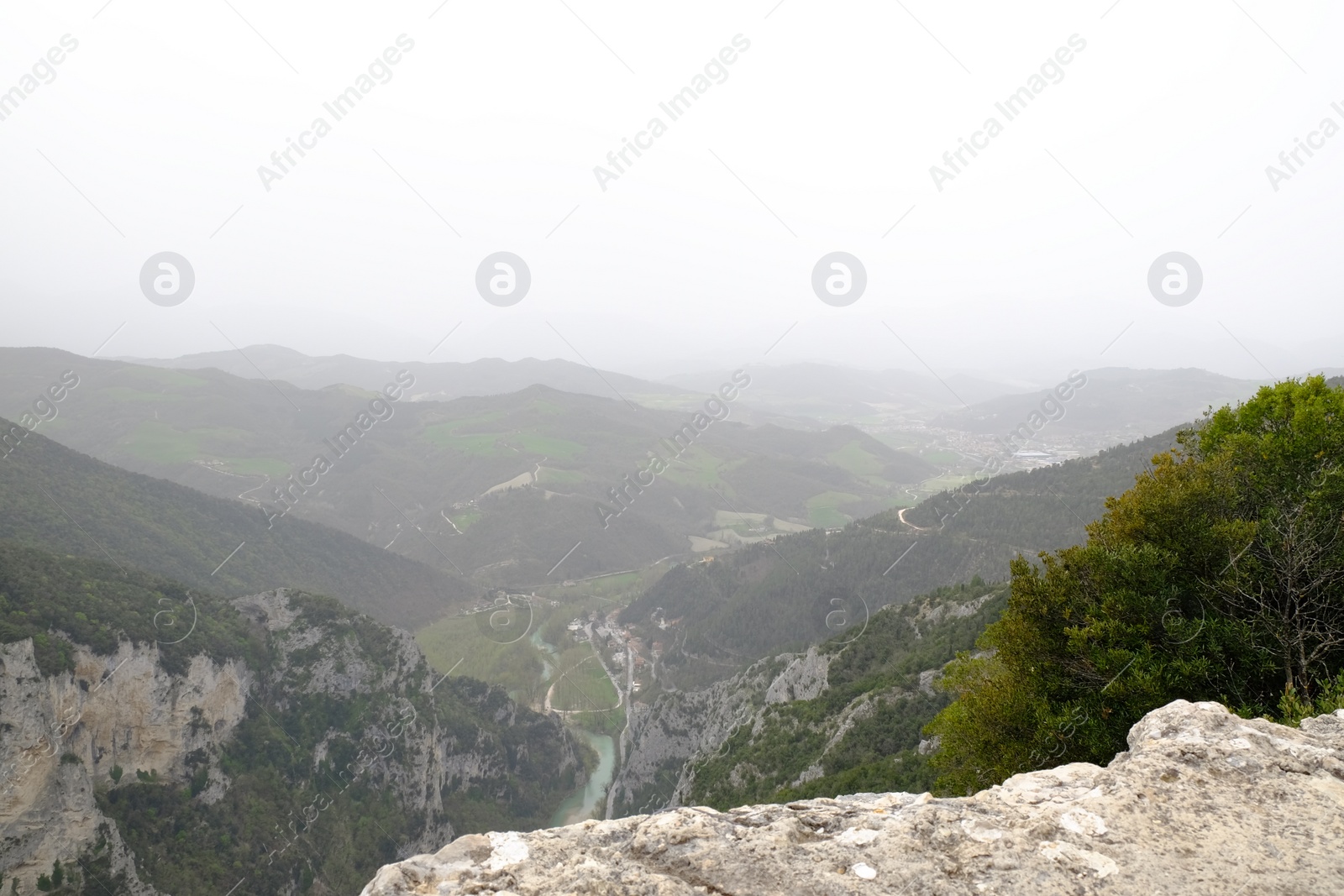 Photo of Picturesque view of green forest in mountains