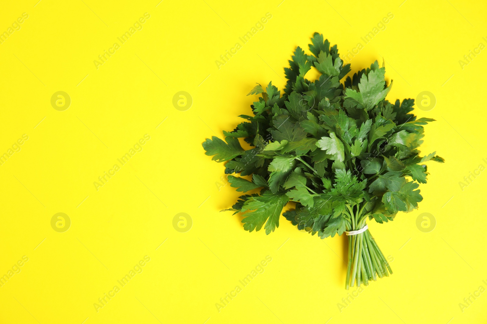 Photo of Bunch of fresh green parsley on color background, view from above. Space for text