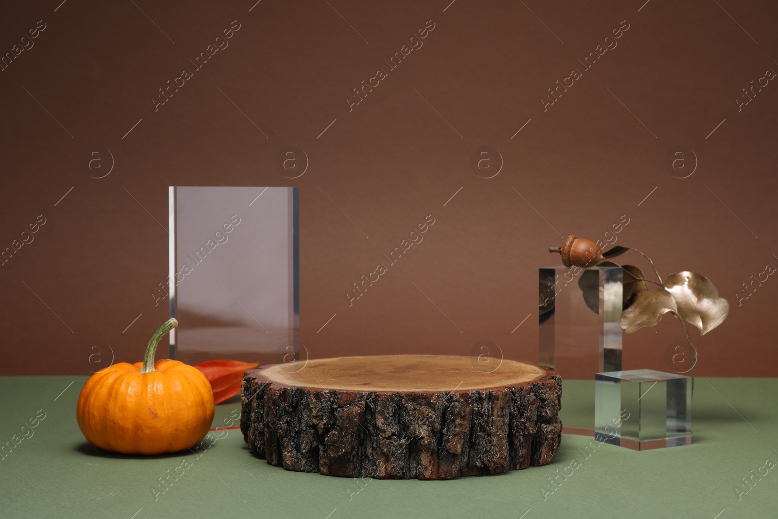 Photo of Stylish presentation for product. Wooden stump, geometric figures and autumn decor on color background, space for text