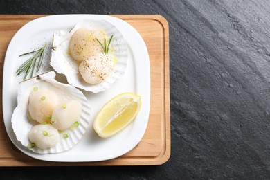 Photo of Raw scallops with green onion, rosemary and lemon on dark textured table, top view. Space for text