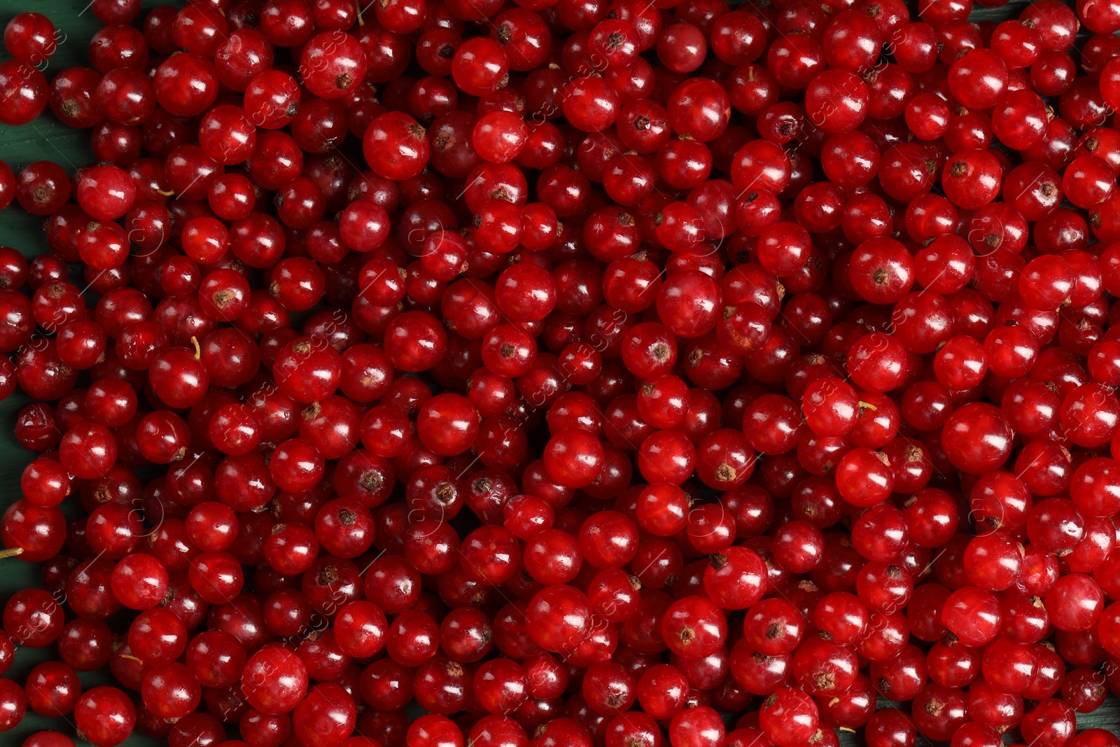 Photo of Many ripe red currants as background, top view