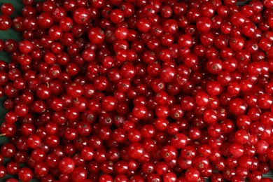 Photo of Many ripe red currants as background, top view