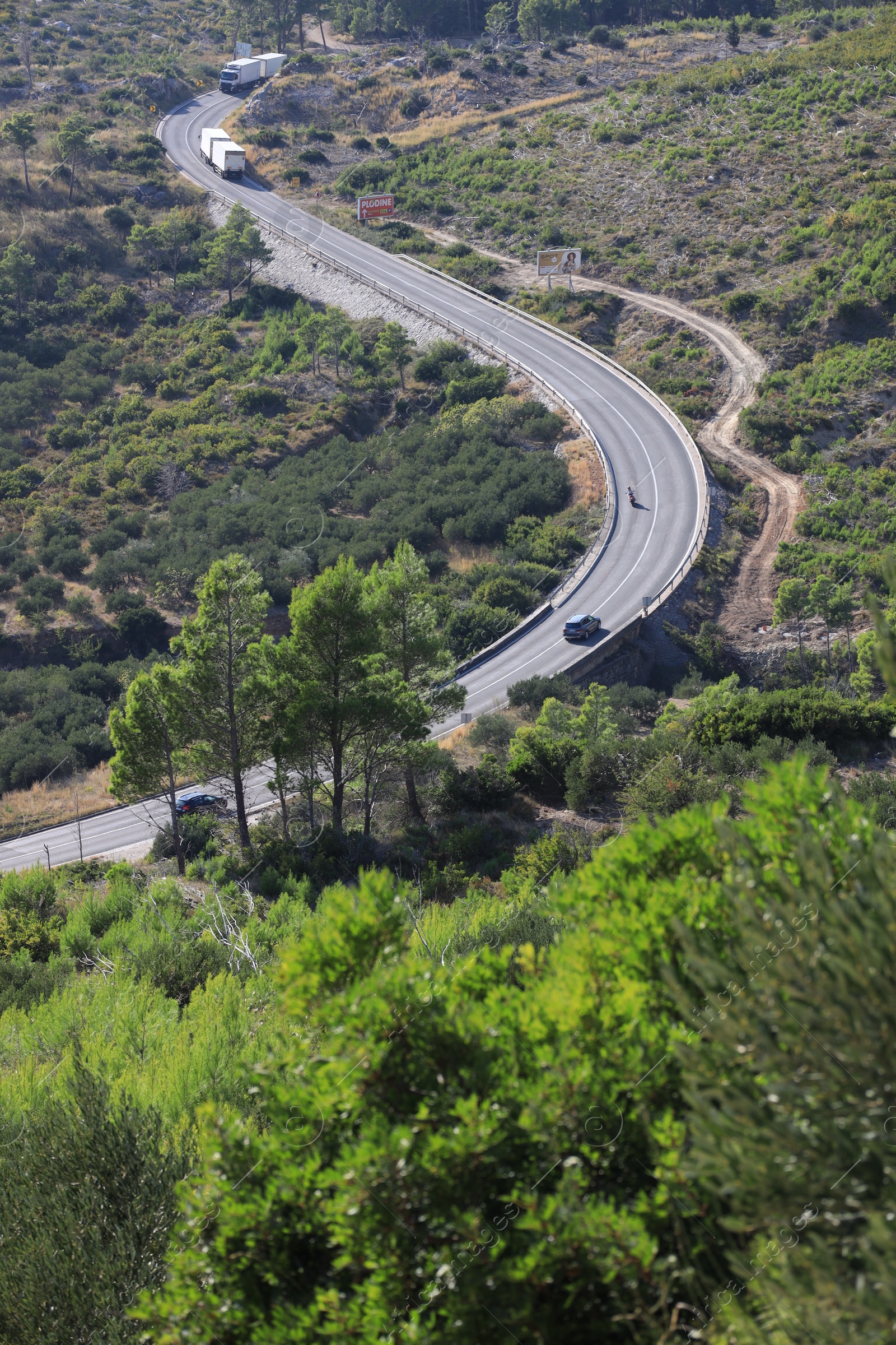 Photo of Road with cars and trees on sunny day