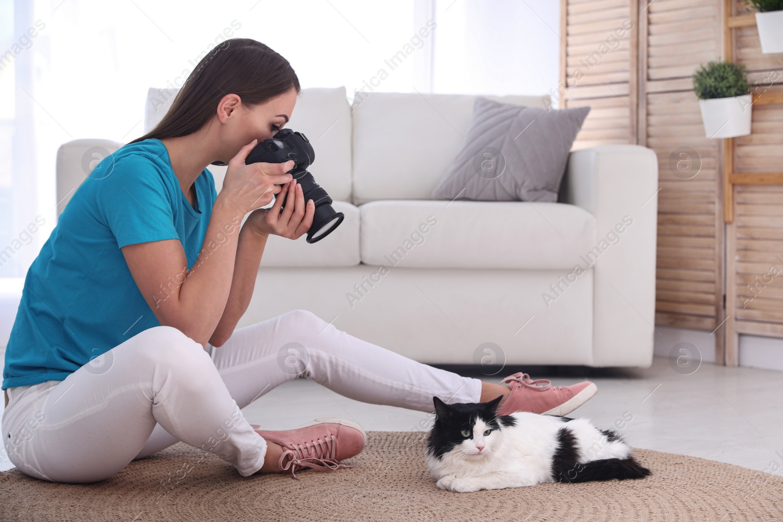 Photo of Professional animal photographer taking picture of beautiful cat at home