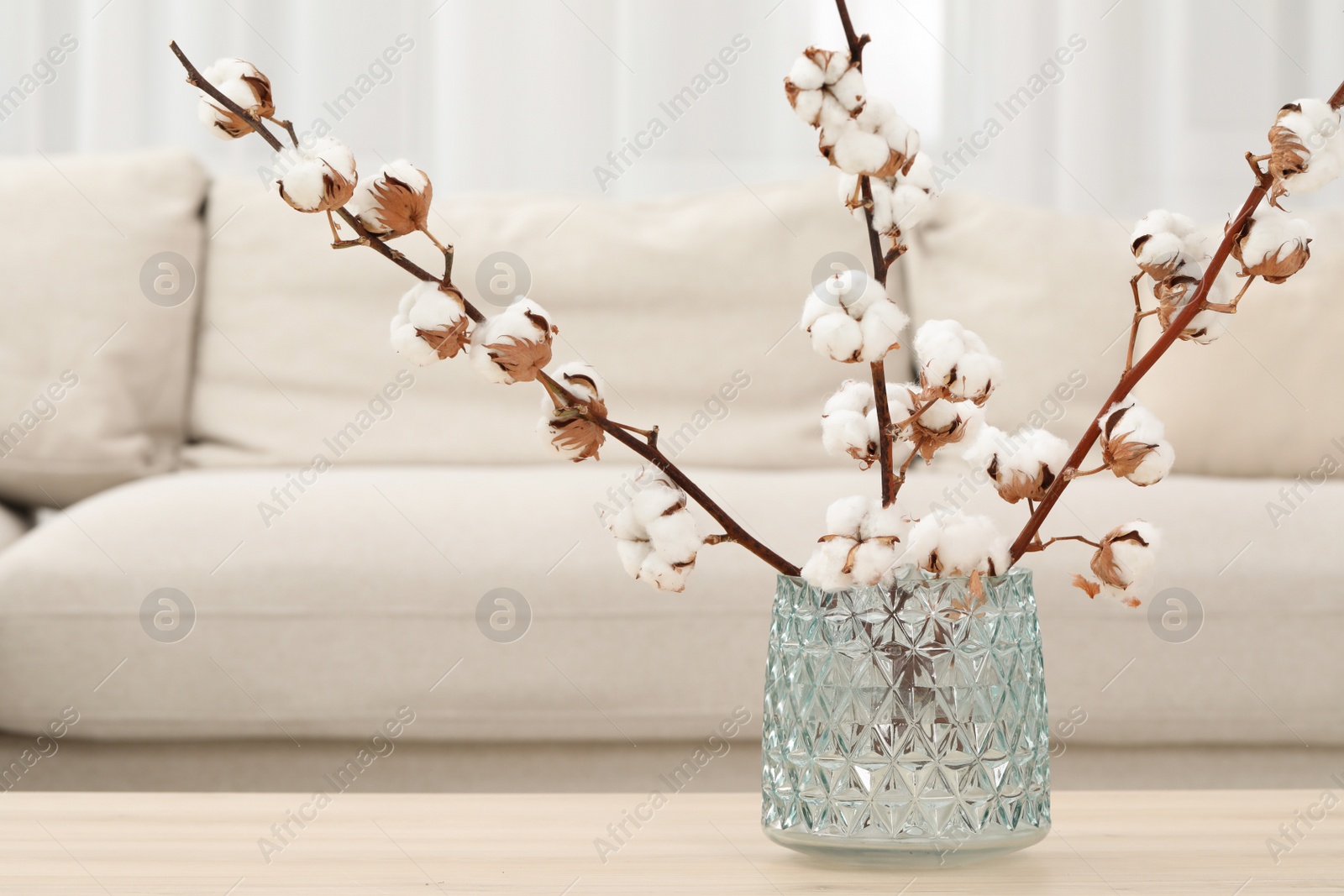 Photo of Cotton branches with fluffy flowers on wooden table in cozy room. Space for text