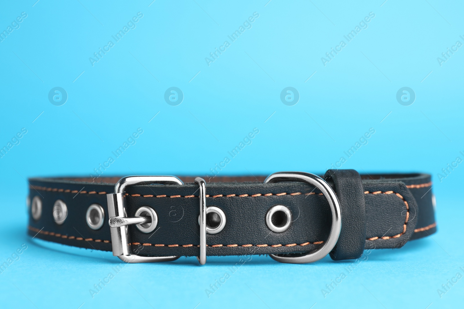 Photo of Black leather dog collar on light blue background, closeup. Space for text