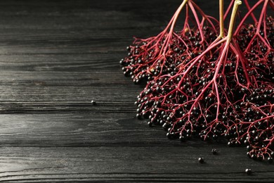 Bunches of ripe elderberries on black wooden table, space for text