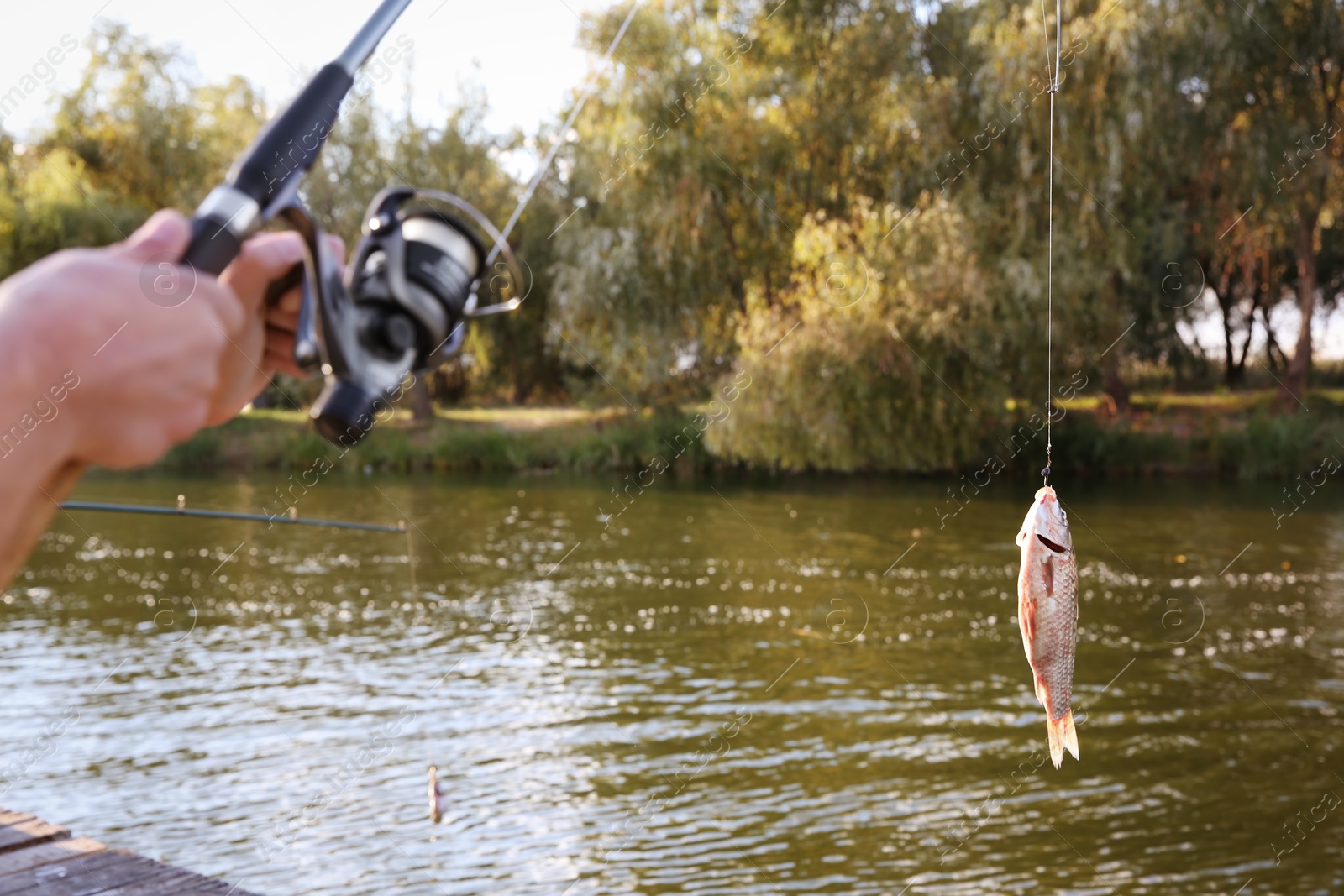 Photo of Man with rod fishing at riverside. Recreational activity