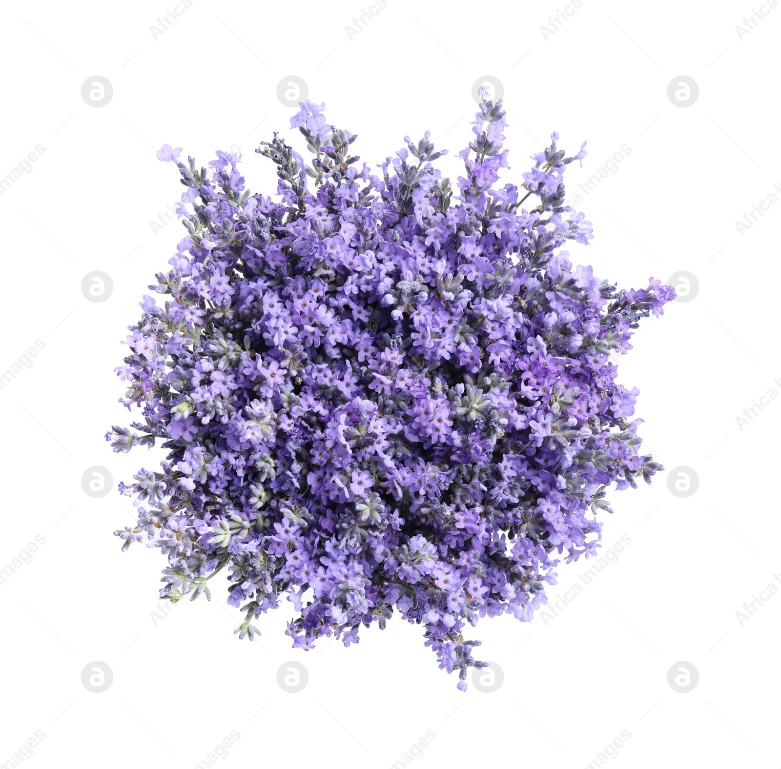 Photo of Bouquet of beautiful lavender flowers isolated on white, top view