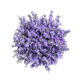 Photo of Bouquet of beautiful lavender flowers isolated on white, top view