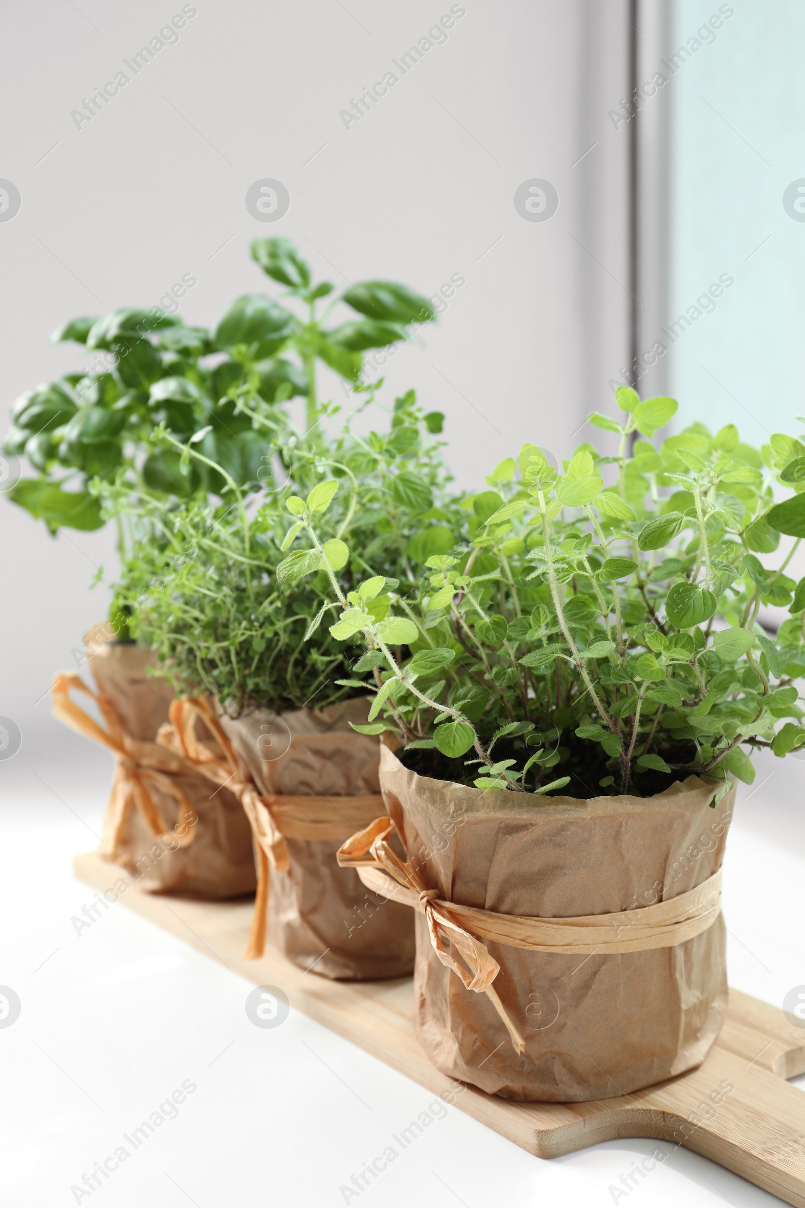 Photo of Different fresh potted herbs on windowsill indoors