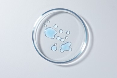 Photo of Petri dish with color liquid on white background, top view