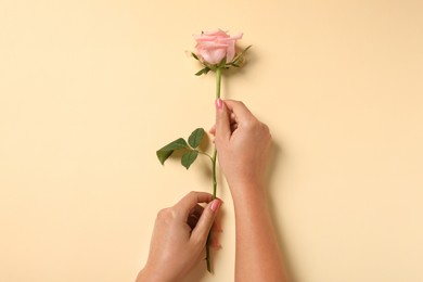 Photo of Woman with beautiful rose on beige background, top view