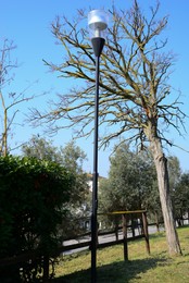 Photo of Street light and rustic wooden fence in park on sunny day