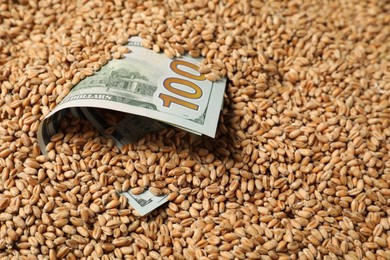 Photo of Dollar banknote in wheat grains, closeup. Agricultural business