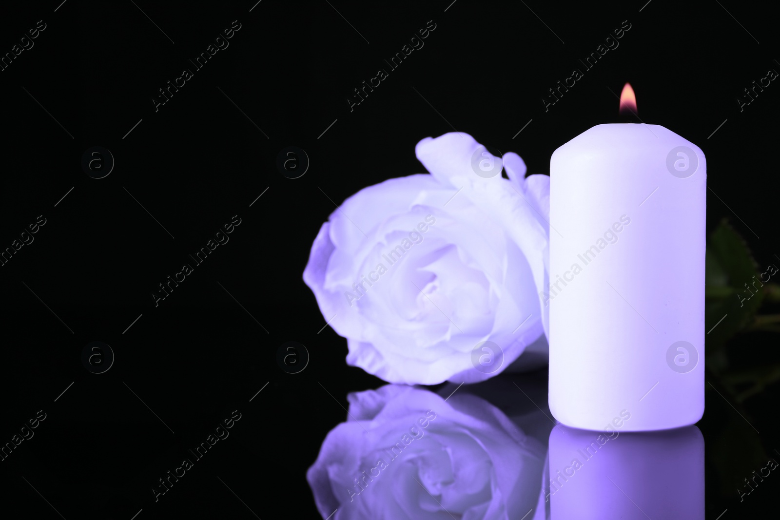 Image of Violet rose and burning candle on black mirror surface, space for text. Funeral attributes